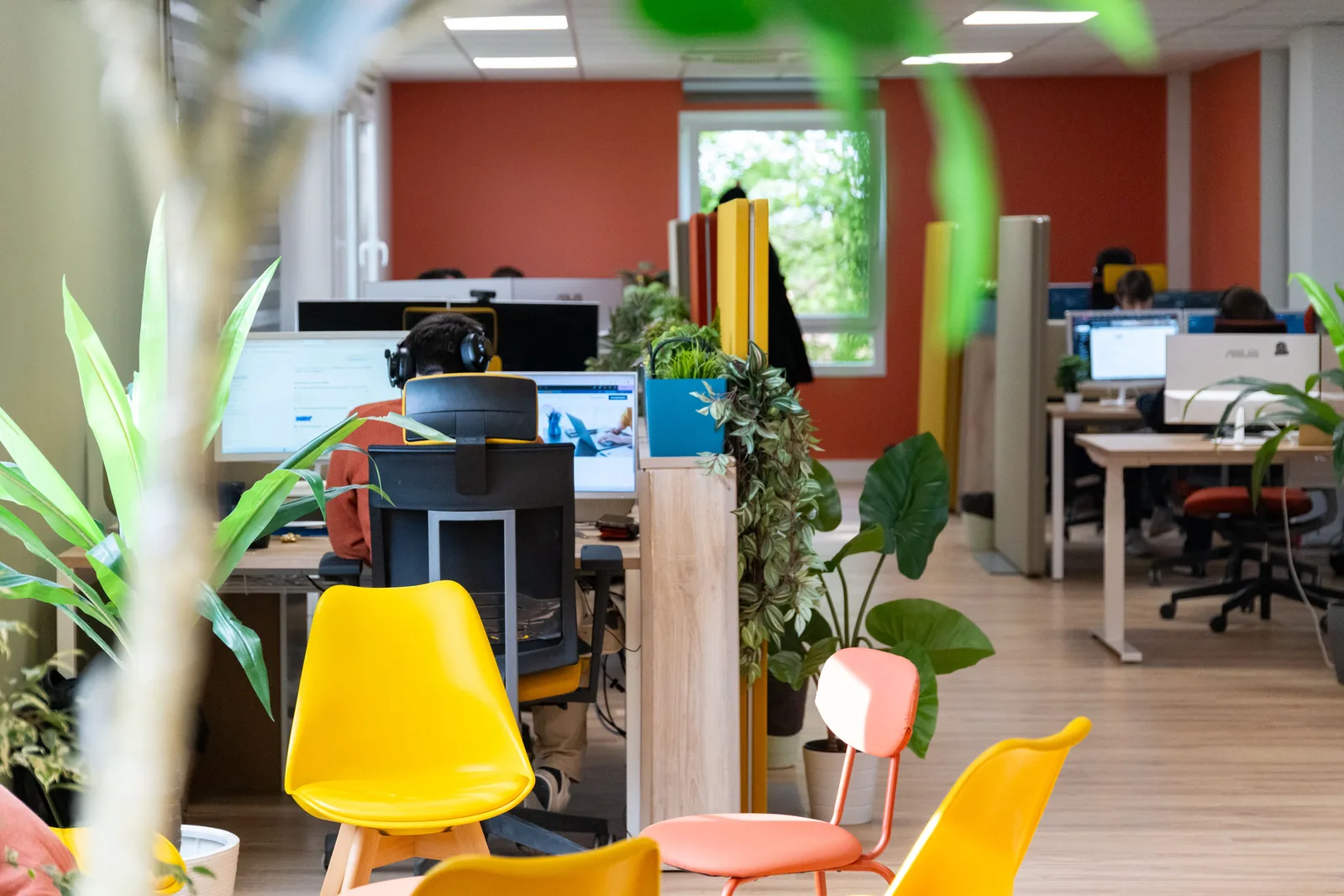 Espace de travail partagé et végétalisé chez BWA